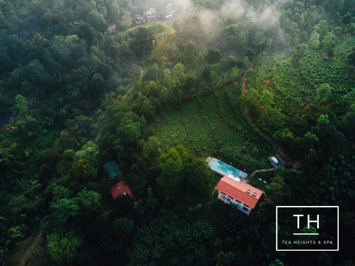 Tea Heights Hotel Kandy Kültér fotó