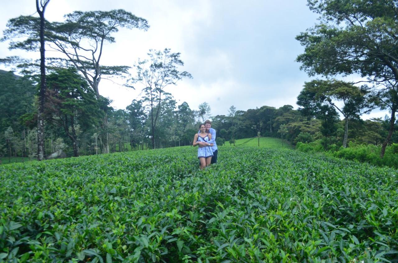Tea Heights Hotel Kandy Kültér fotó